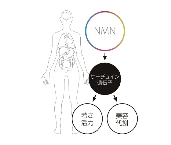 NMN点滴の効果