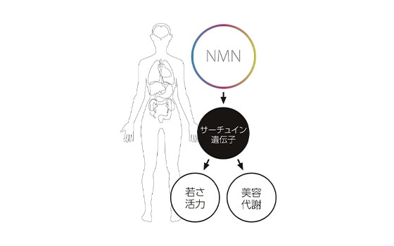 NMN点滴の効果